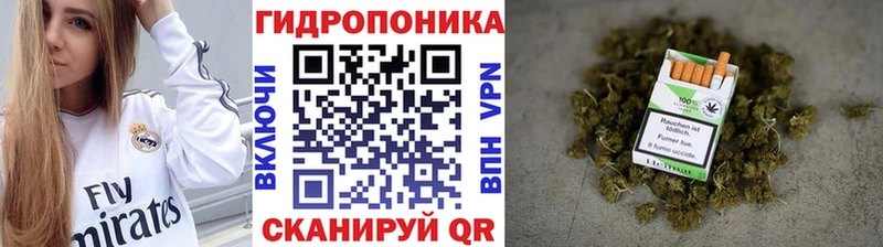 Купить наркотики Павловский Посад Псилоцибиновые грибы  mega ONION  МЕФ  Кокаин  Alpha-PVP  МДМА 