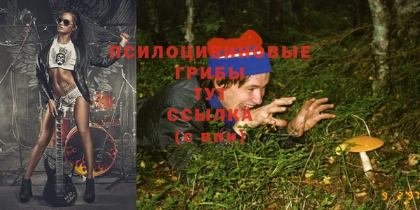 кокс Аркадак
