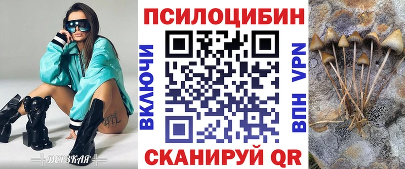 Псилоцибиновые грибы GOLDEN TEACHER  магазин продажи   Павловский Посад 